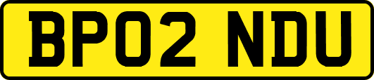 BP02NDU