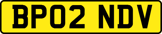 BP02NDV