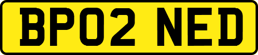 BP02NED