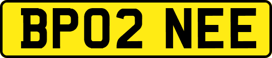 BP02NEE