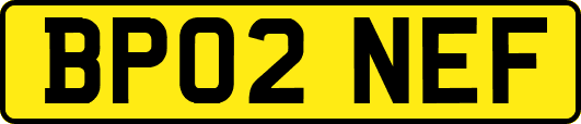 BP02NEF