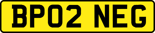 BP02NEG