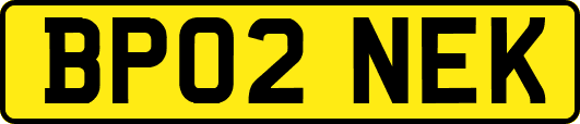 BP02NEK
