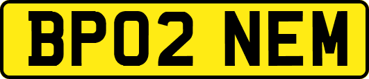 BP02NEM