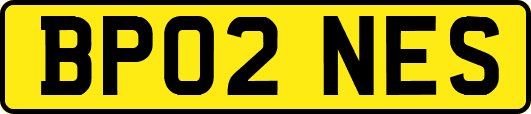 BP02NES