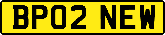 BP02NEW