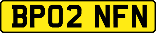 BP02NFN