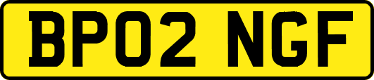 BP02NGF