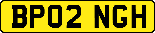 BP02NGH