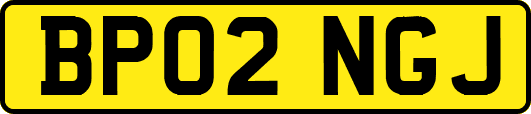 BP02NGJ