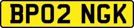 BP02NGK