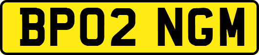 BP02NGM