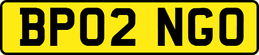 BP02NGO