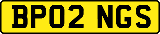 BP02NGS