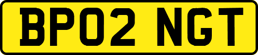 BP02NGT