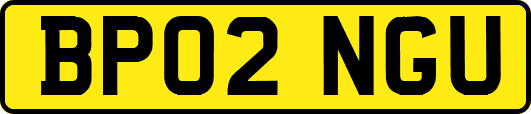 BP02NGU