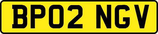 BP02NGV