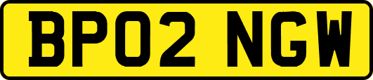 BP02NGW