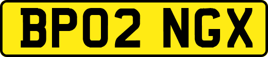 BP02NGX