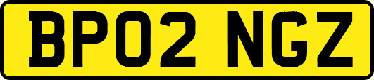 BP02NGZ