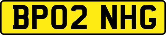 BP02NHG