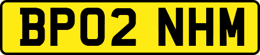 BP02NHM