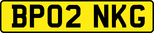 BP02NKG