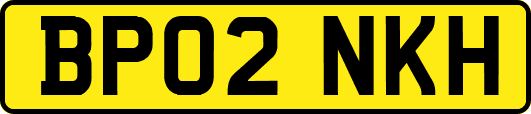 BP02NKH