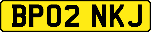 BP02NKJ