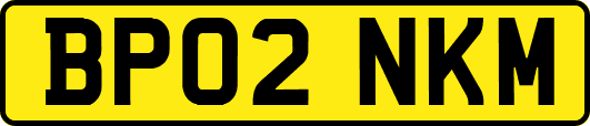 BP02NKM