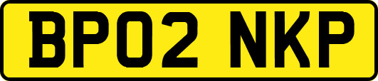 BP02NKP