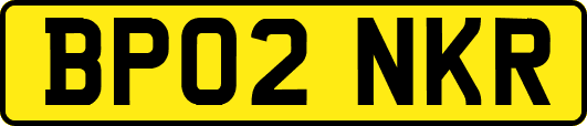 BP02NKR