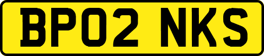 BP02NKS