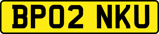 BP02NKU