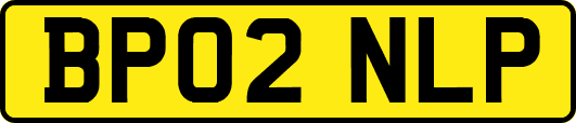 BP02NLP