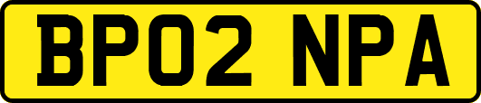 BP02NPA