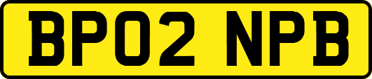 BP02NPB