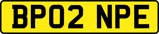 BP02NPE