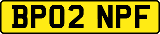 BP02NPF