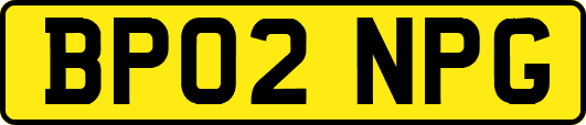 BP02NPG