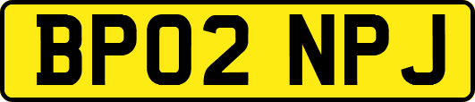 BP02NPJ