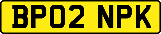 BP02NPK