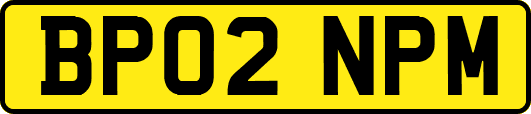 BP02NPM