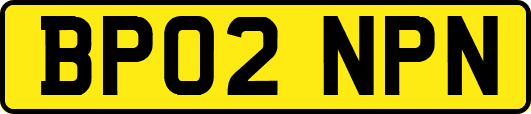 BP02NPN