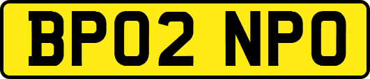 BP02NPO