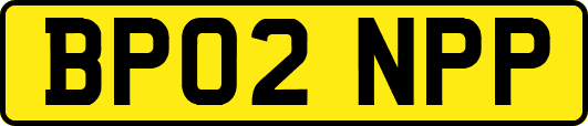 BP02NPP