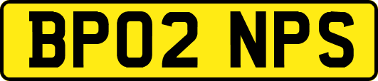 BP02NPS
