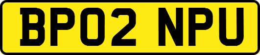 BP02NPU