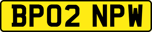 BP02NPW