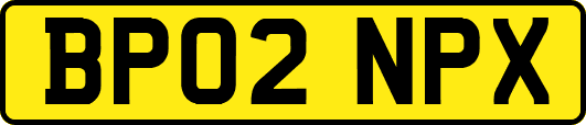 BP02NPX